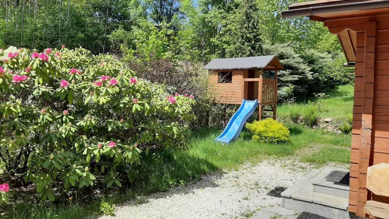 포드고르진 Chata Gorska Sowa Dla 12 Osob, 4 Sypialnie,Salon Z Kominkiem 빌라 외부 사진