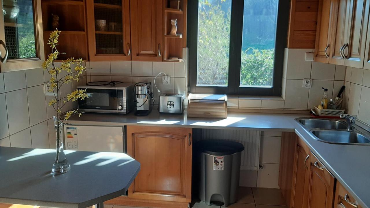 포드고르진 Chata Gorska Sowa Dla 12 Osob, 4 Sypialnie,Salon Z Kominkiem 빌라 외부 사진